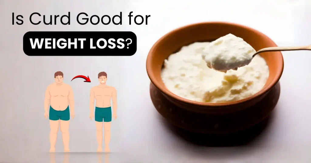 is curd good for weight loss