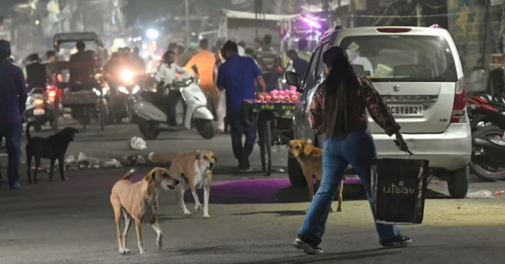 Supreme Court hearing on stray dogs,