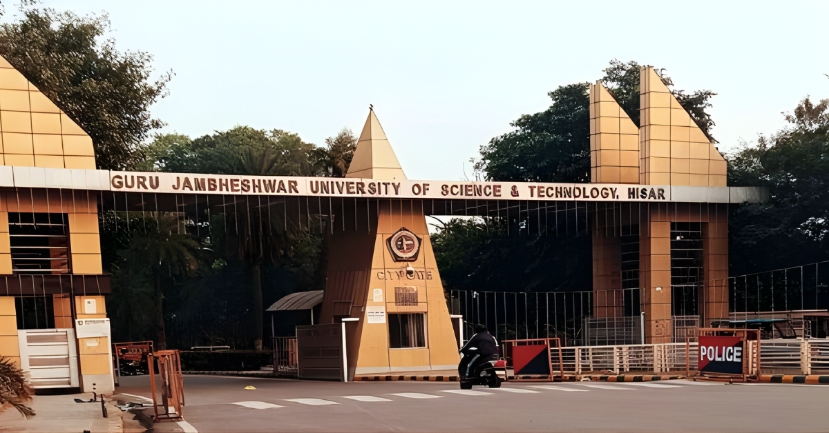 Assistant Professors get a setback from the court