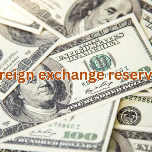 India's foreign exchange reserves fall 