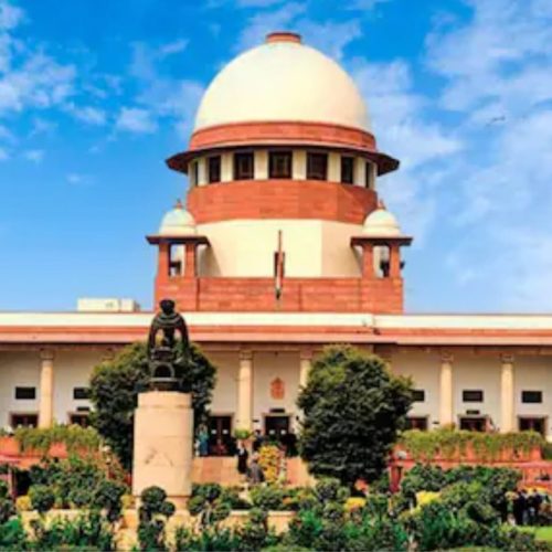 Supreme Court upset over stray dogs